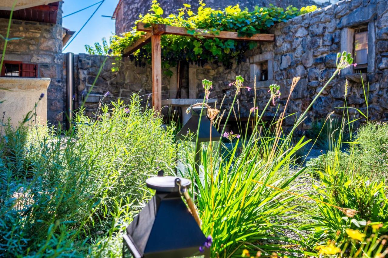 Karst House Zan Pliskovica With Private Pool Villa Dutovlje Exterior photo